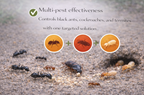 Coopers Ultrakill Ant Force 100g
