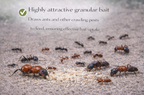 Coopers Ultrakill Ant Force 50G Kit
